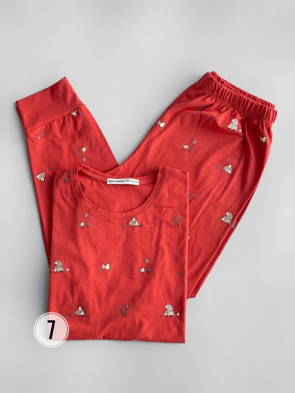 ست تیشرت شلوار تمام چاپ جوجه تیغی