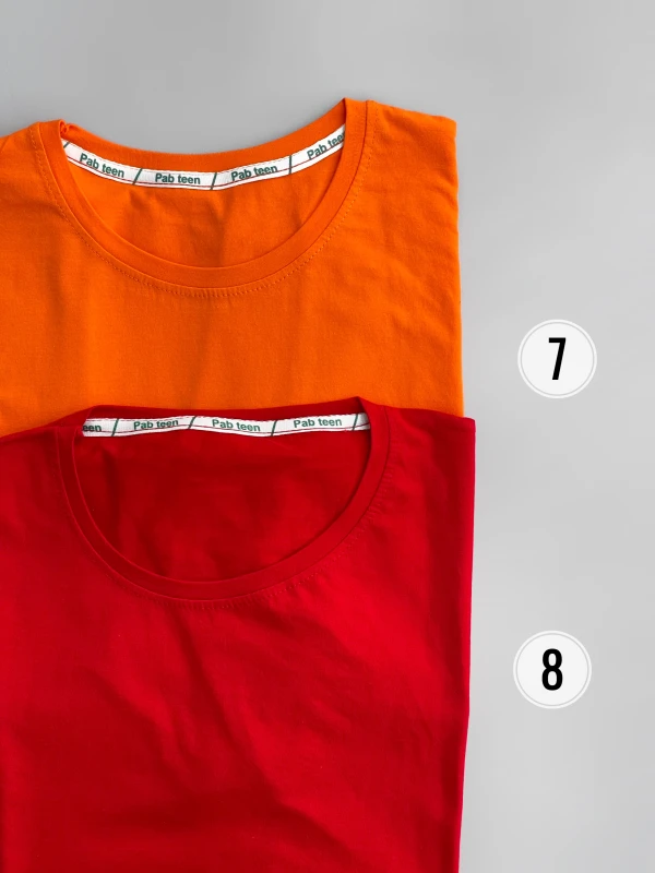 تیشرت بیسیک1