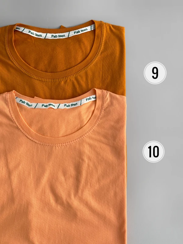 تیشرت بیسیک 3