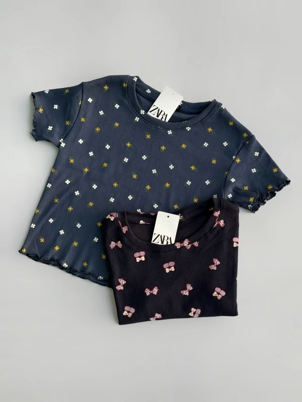 کراپ کبریتی 1204