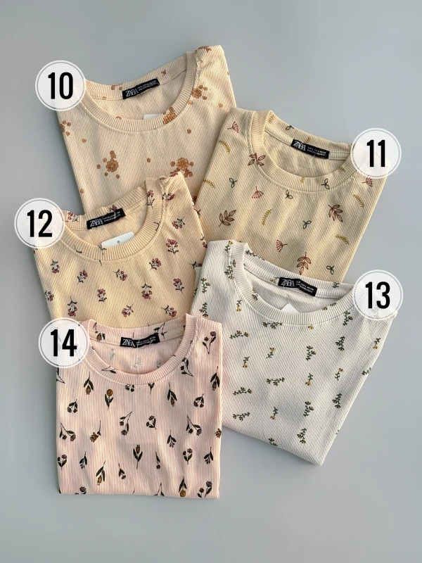 کراپ کبریتی 1204